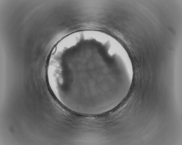 X0000111371463200908211307