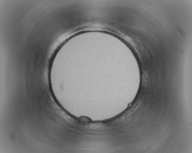 X0000111371464200908211307