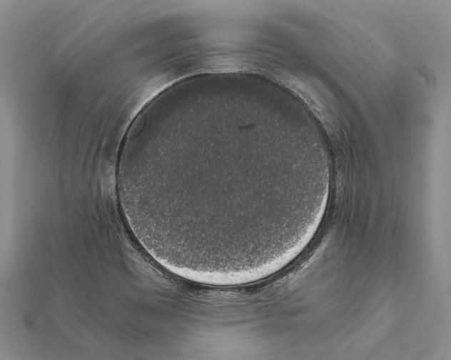 X0000111371465200908211307