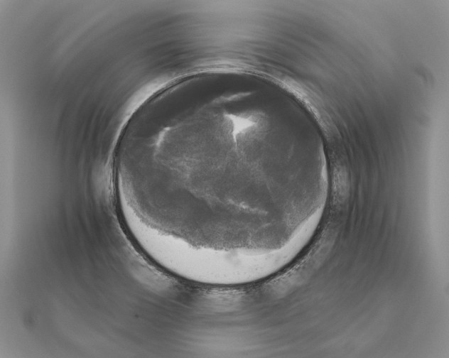 X0000111371466200908211307