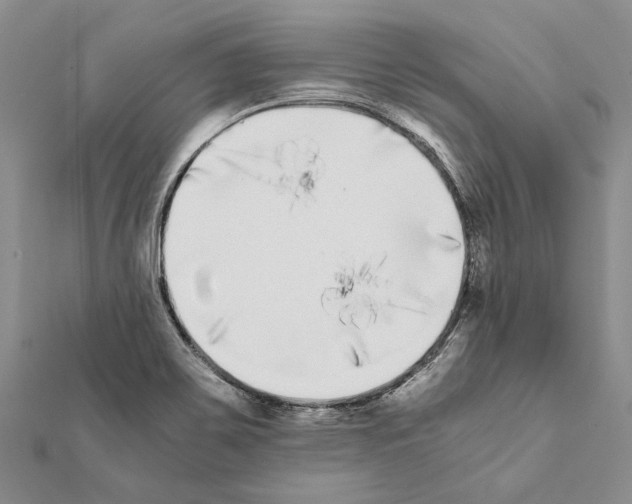 X0000111371467200908211307