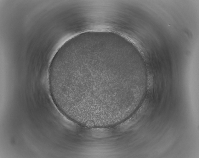 X0000111371470200908211307