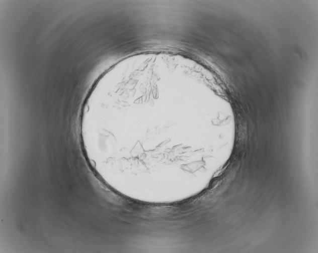 X0000111371471200908211307