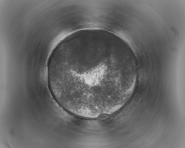 X0000111371472200908211307