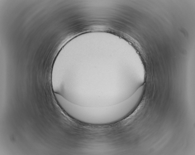 X0000111371473200908211307