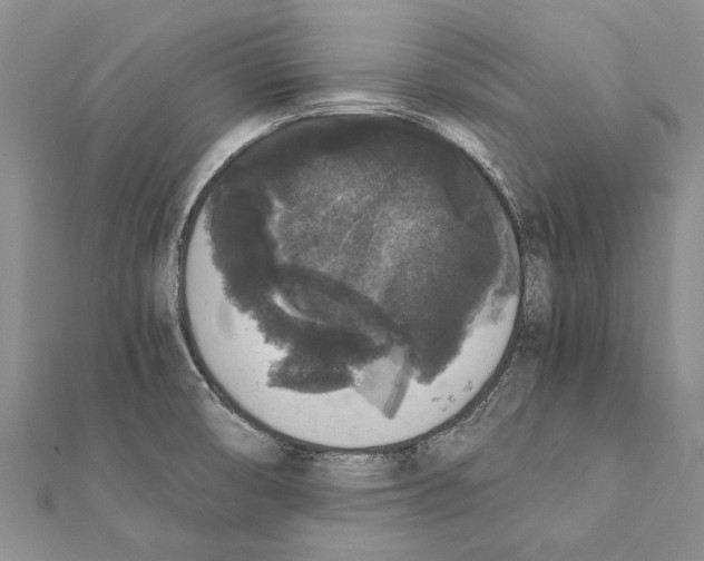 X0000111371474200908211307