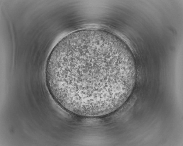 X0000111371475200908211307