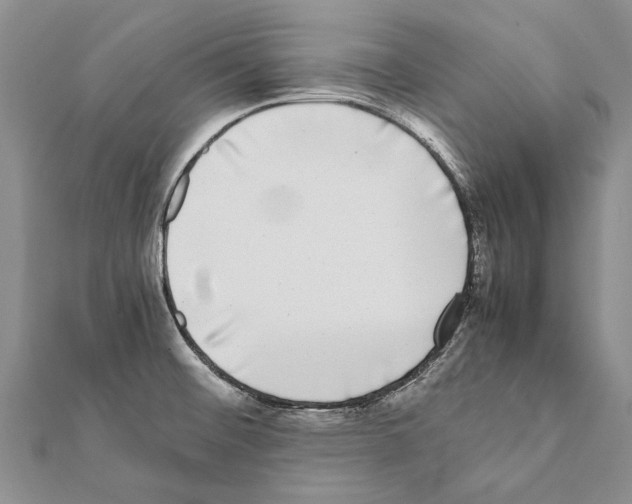 X0000111371476200908211307