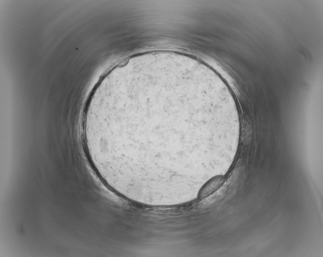 X0000111371477200908211307