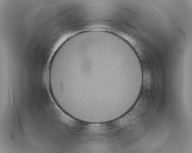 X0000111371478200908211307
