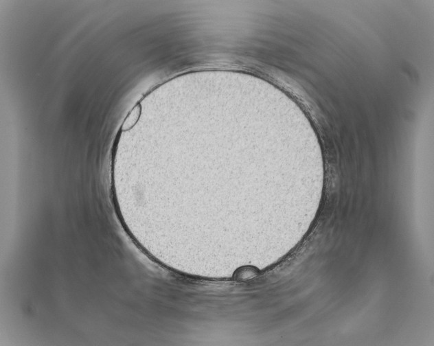 X0000111371479200908211307