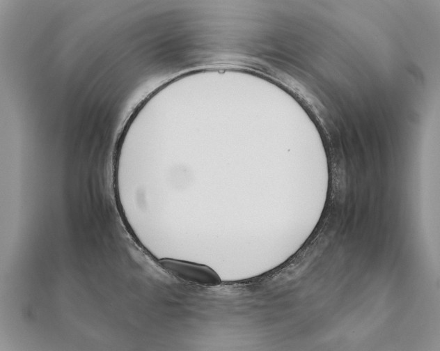 X0000111371480200908211307