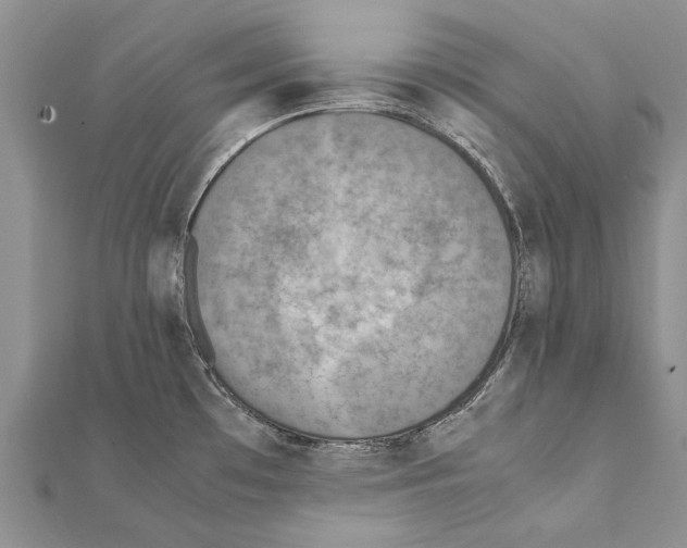 X0000111371481200908211307