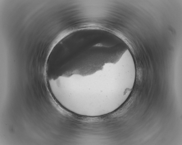 X0000111371482200908211307