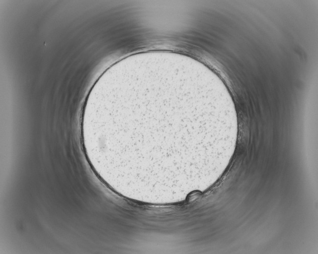X0000111371483200908211307