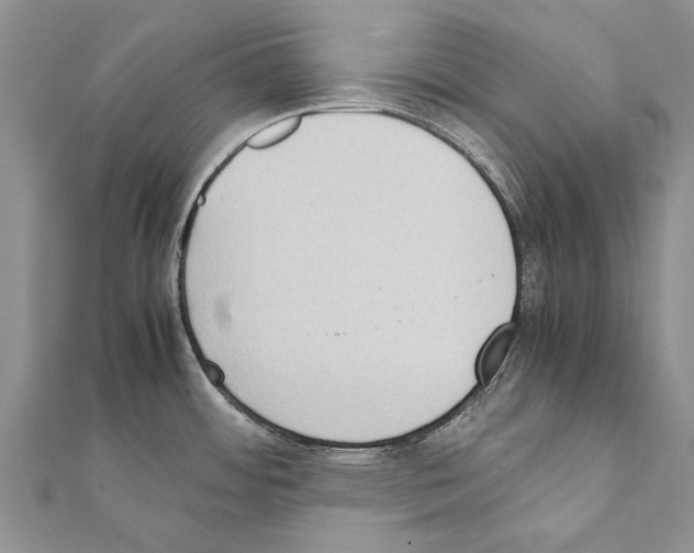 X0000111371484200908211307