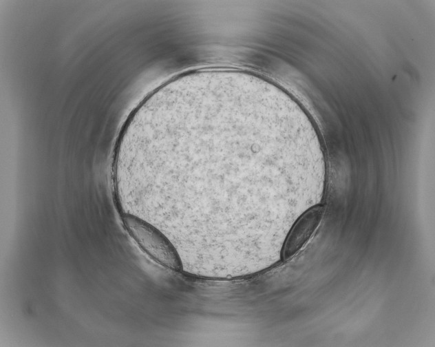 X0000111371485200908211307