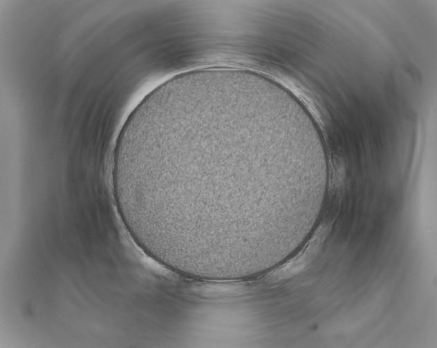 X0000111371486200908211307