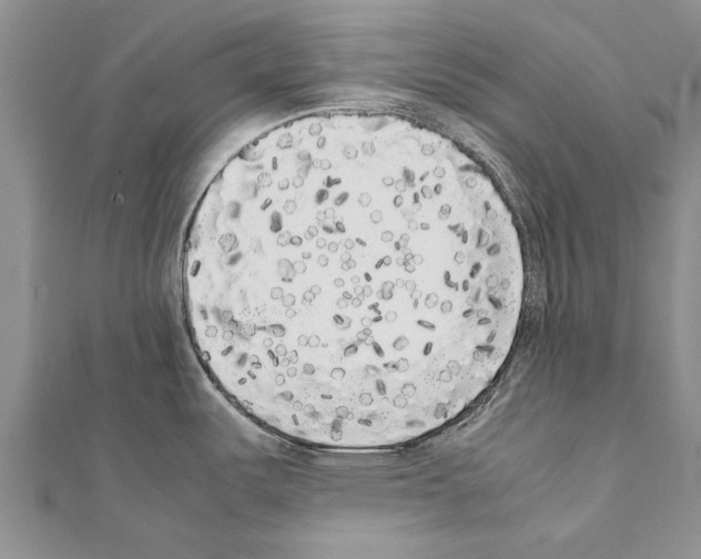 X0000111371487200908211307