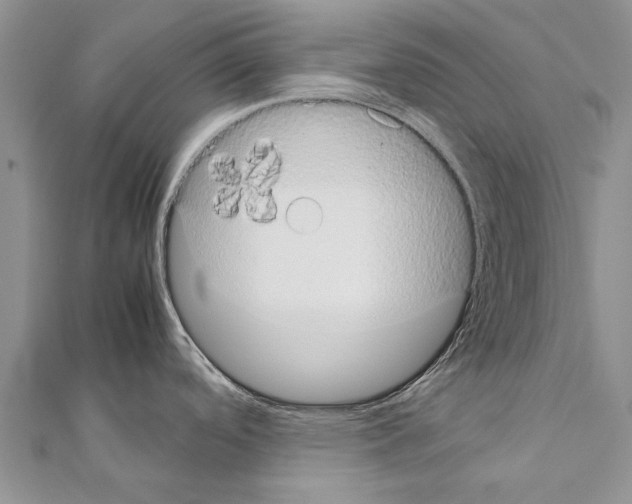 X0000111371488200908211307