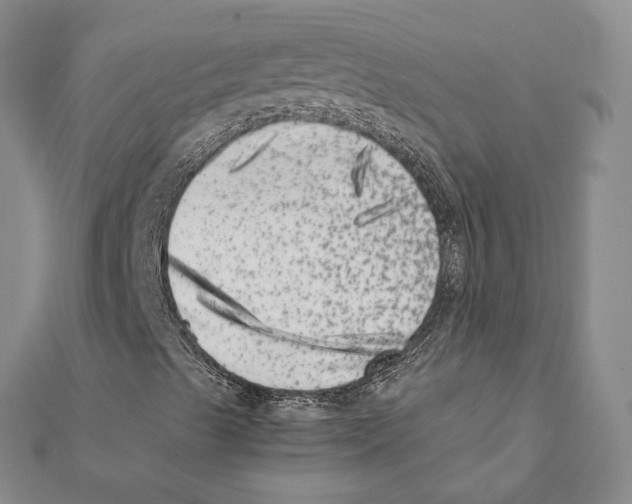 X0000111371489200908211306