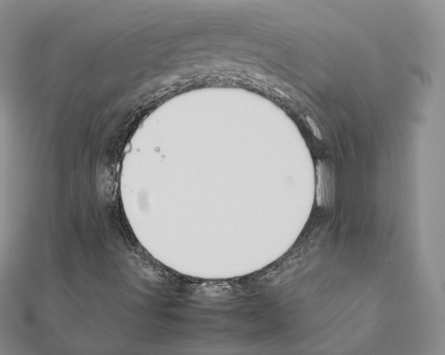 X0000111371491200908211306