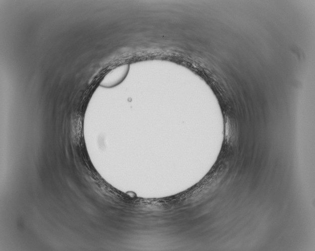 X0000111371492200908211306