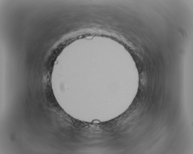 X0000111371495200908211306