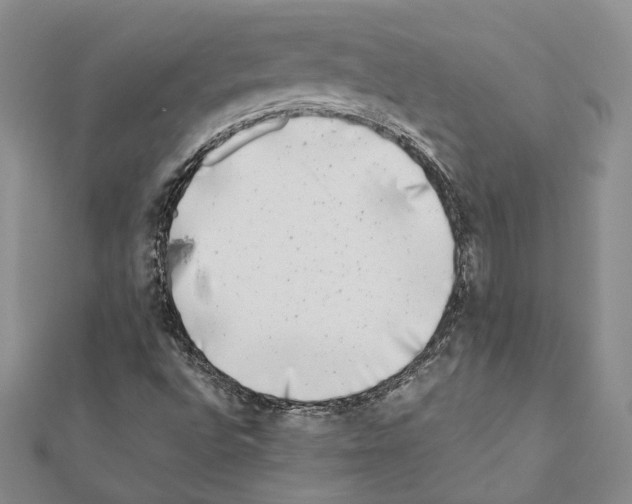 X0000111371496200908211306
