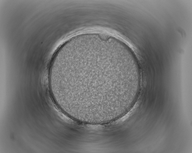 X0000111371498200908211306