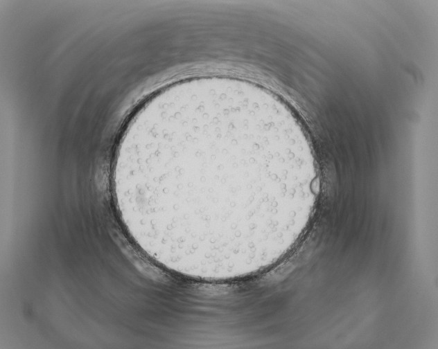X0000111371499200908211306