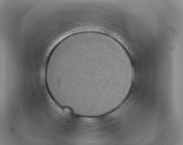 X0000111371500200908211307