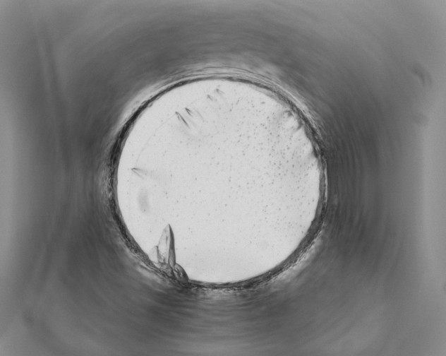 X0000111371501200908211307