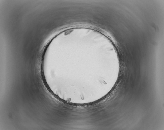 X0000111371504200908211307