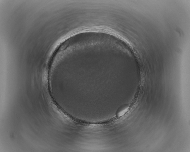 X0000111371506200908211307