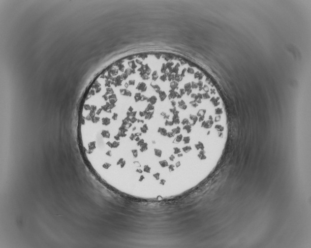 X0000111371508200908211307
