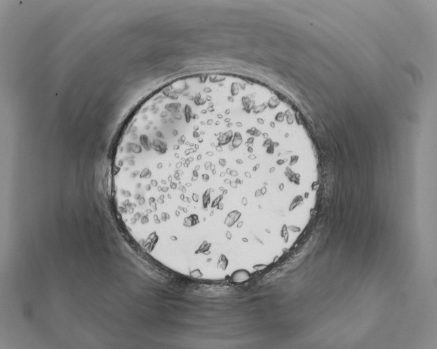 X0000111371509200908211307