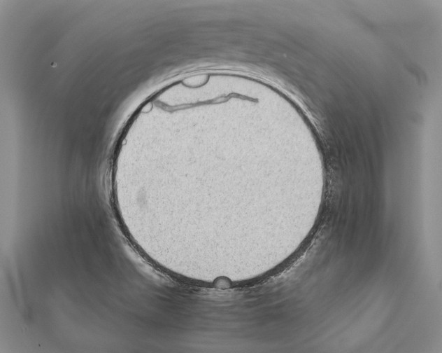 X0000111371511200908211307