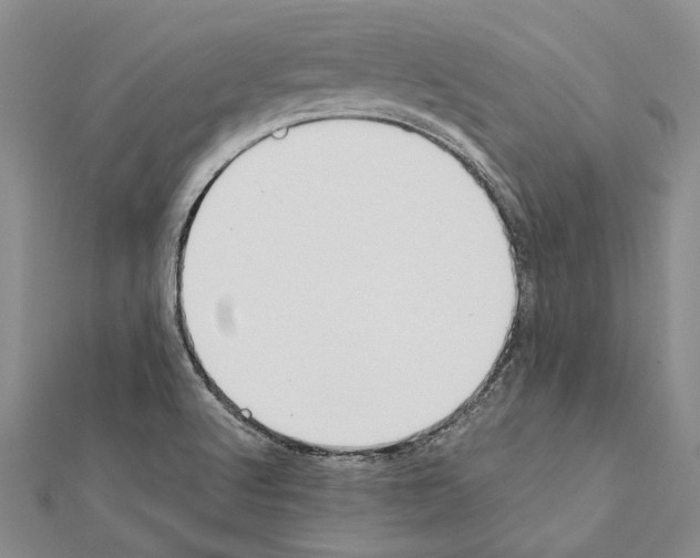 X0000111371512200908211307