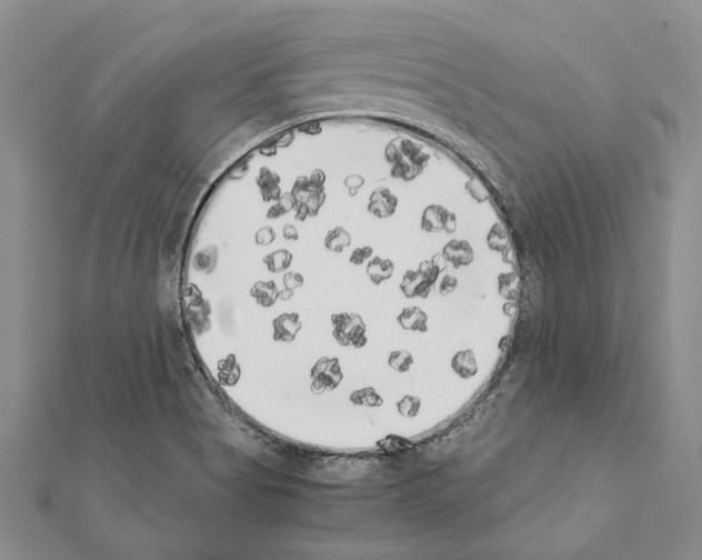 X0000111371513200908211307