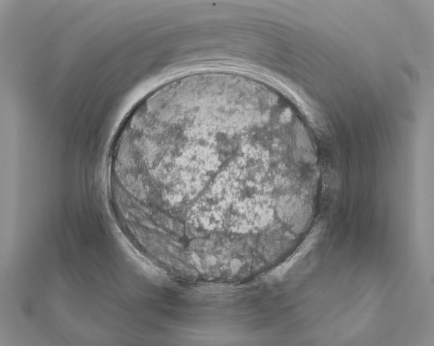 X0000111371514200908211307