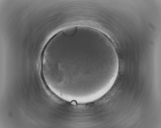 X0000111371515200908211307