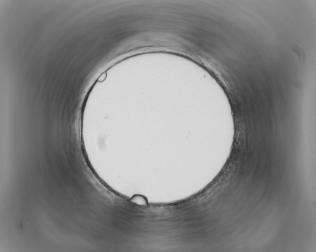 X0000111371516200908211307