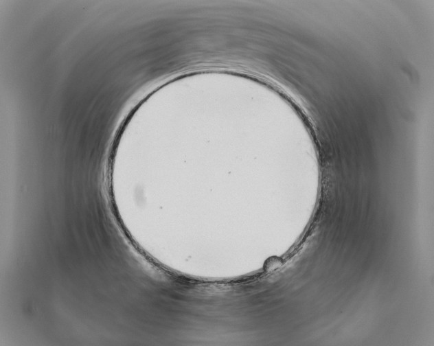 X0000111371517200908211307