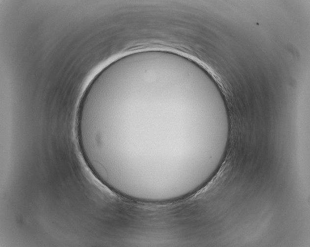 X0000111371518200908211307