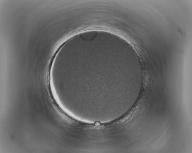 X0000111371519200908211307