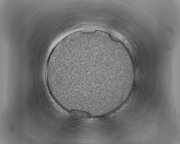 X0000111371520200908211307