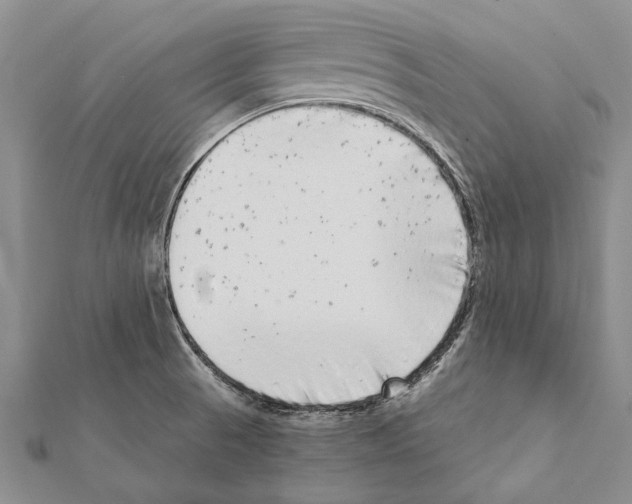 X0000111371521200908211307