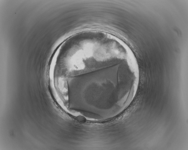 X0000111371522200908211307