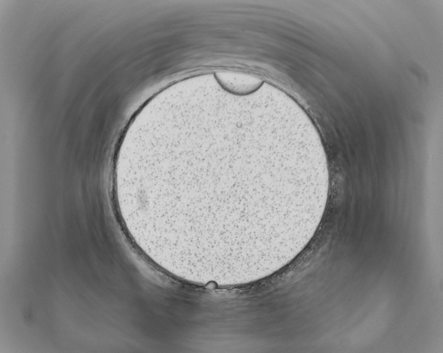 X0000111371523200908211307